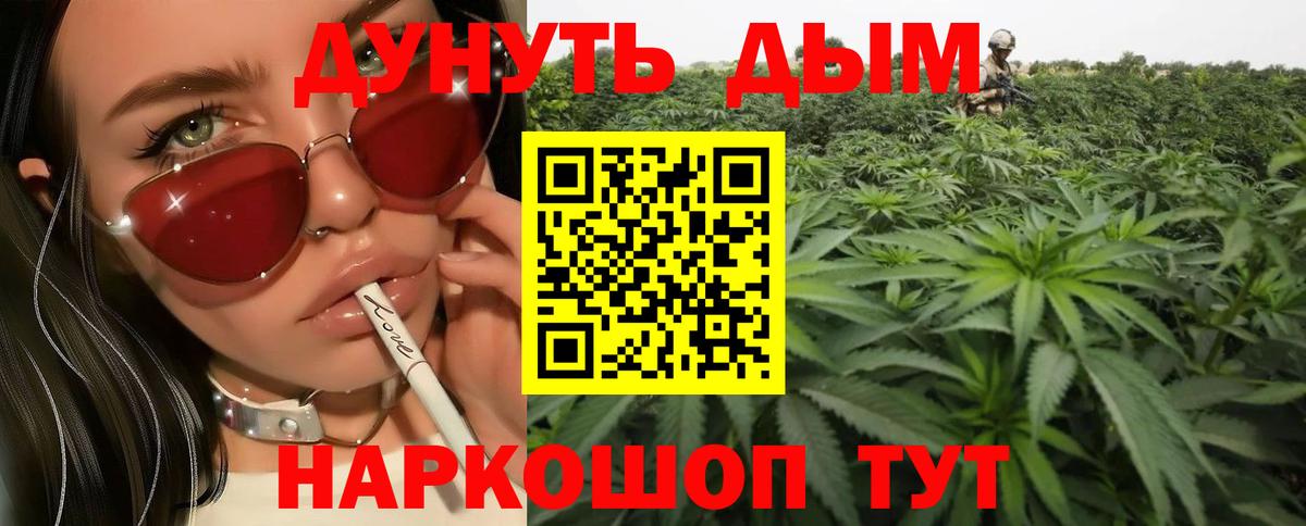 Кимры  Бошки марихуана марихуана  Вход с VPN  Канабис конопля  МАРИХУАНА Ganja 